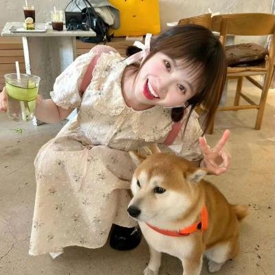 总统特务